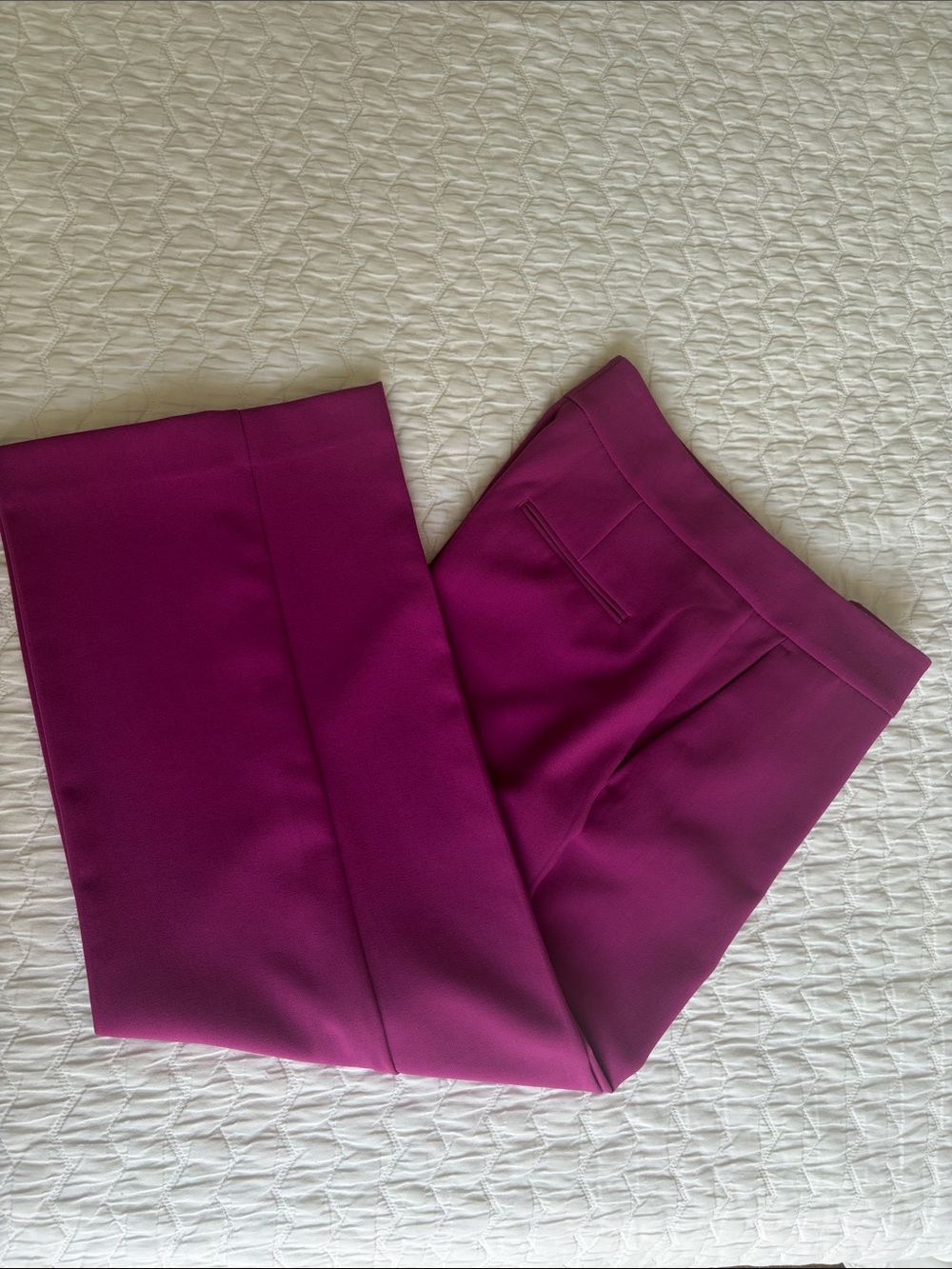 Ann Taylor Tailored Magenta Dress Trousers